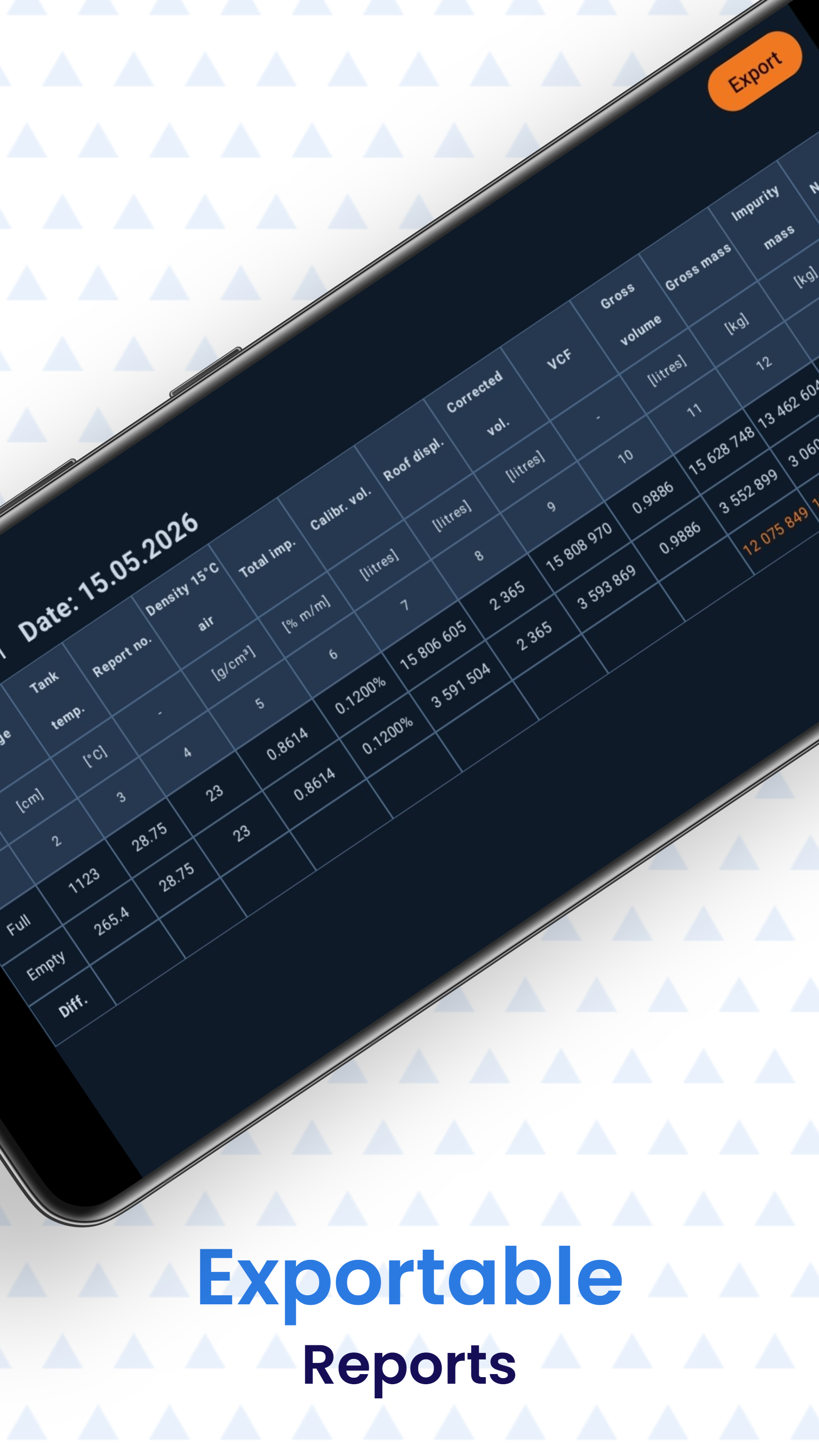 Audit-friendly tabular report with paired full and empty rows